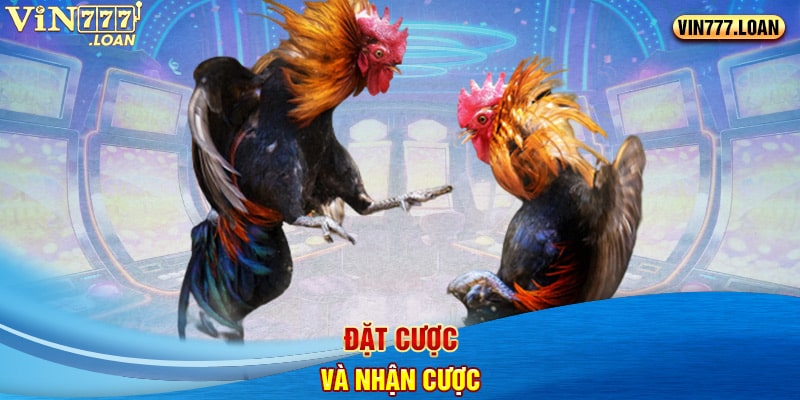 Đặt cược và nhận cược